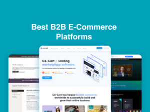 Best B2B eCommerce Platforms in 2024